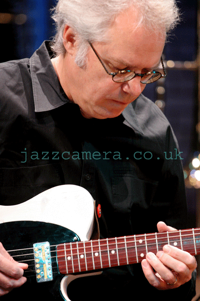 Bill Frisell, guitarist