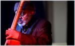 Henry Grimes, Cheltenham Jazz Festival